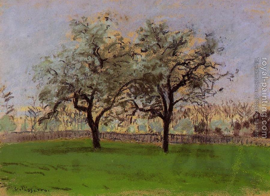 Camille Pissarro : Apple Trees at Pontoise